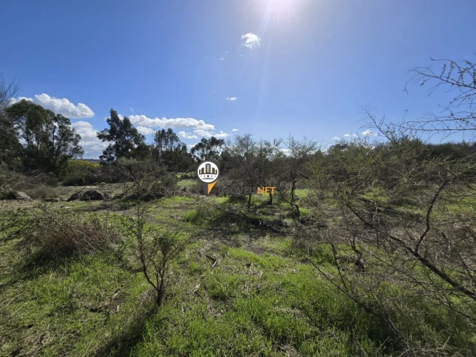 Quinta T0 para Venda em Escalos de Cima e Lousa Foto 23