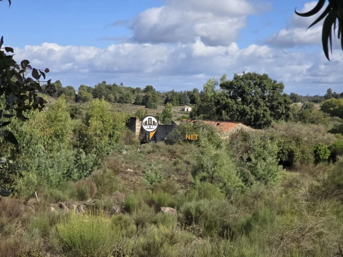 Quinta T0 para Venda em Escalos de Cima e Lousa Foto 15