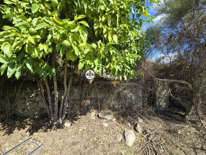 Quinta T0 para Venda em Escalos de Cima e Lousa Foto 24