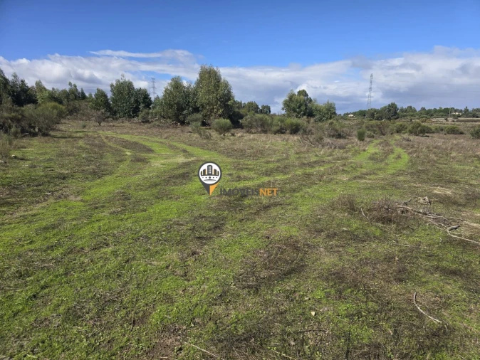 Quinta T0 para Venda em Escalos de Cima e Lousa Foto 31