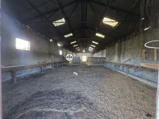 Quinta T0 para Venda em Escalos de Cima e Lousa Foto 7