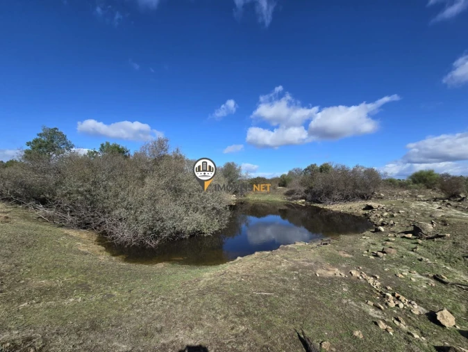 Quinta T0 para Venda em Escalos de Cima e Lousa Foto 12