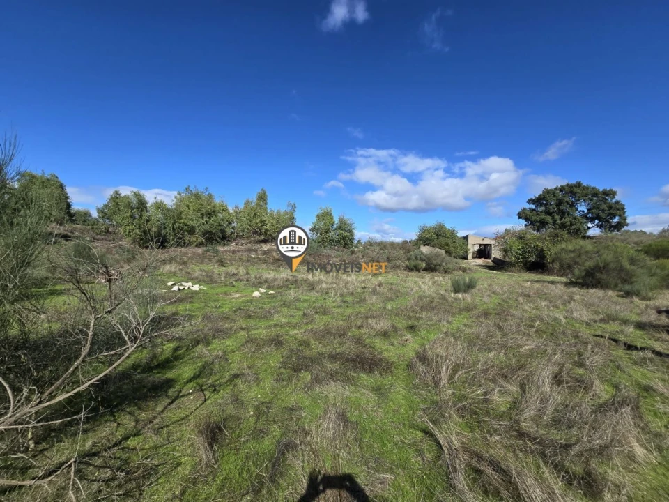 Quinta T0 para Venda em Escalos de Cima e Lousa Foto 26