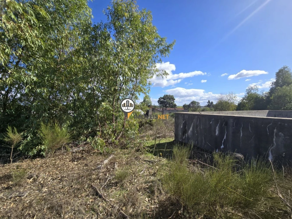 Quinta T0 para Venda em Escalos de Cima e Lousa Foto 28