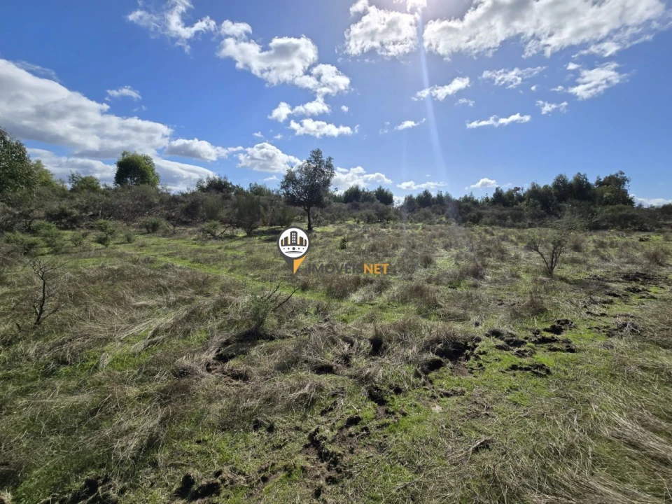 Quinta T0 para Venda em Escalos de Cima e Lousa Foto 11