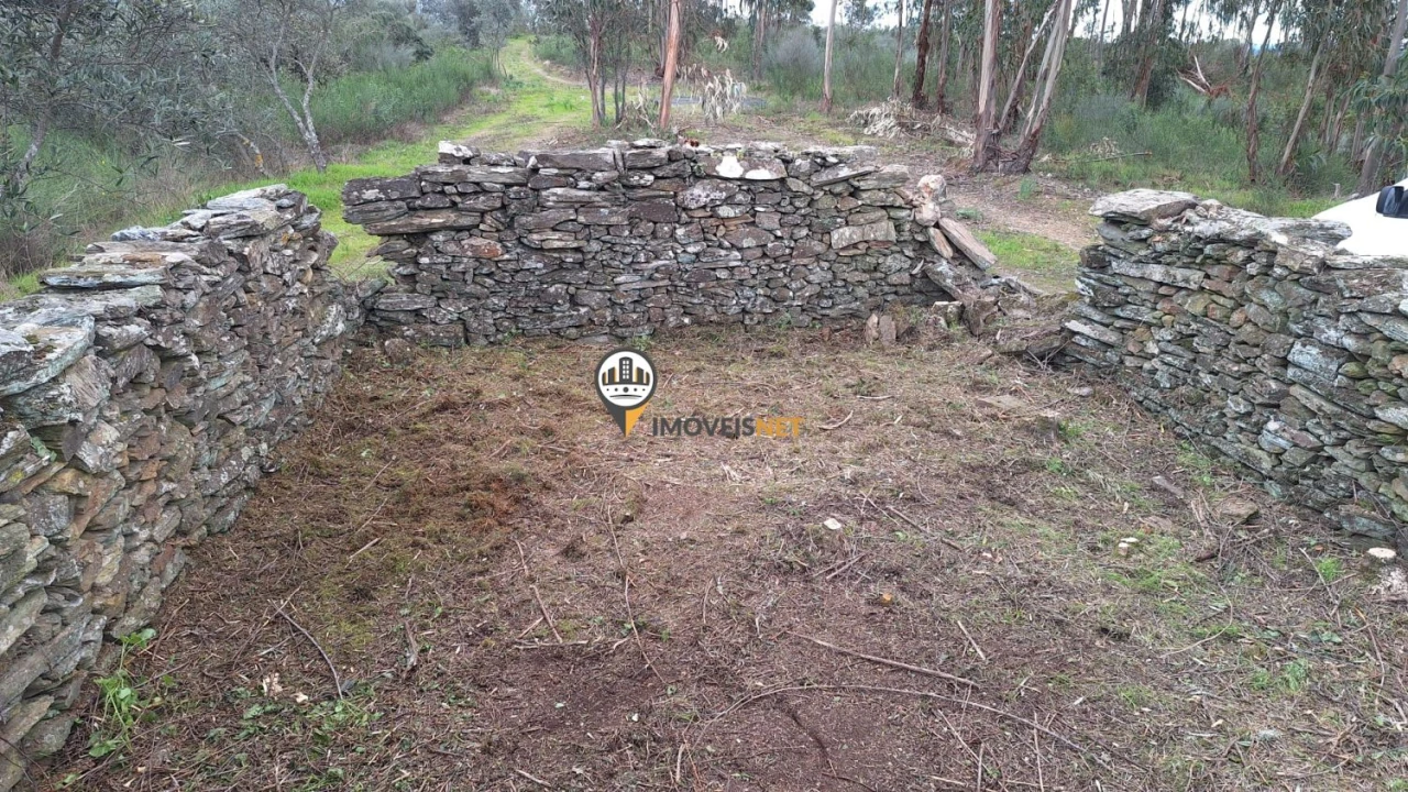 Terreno para Venda em Escalos de Baixo e Mata Foto 19