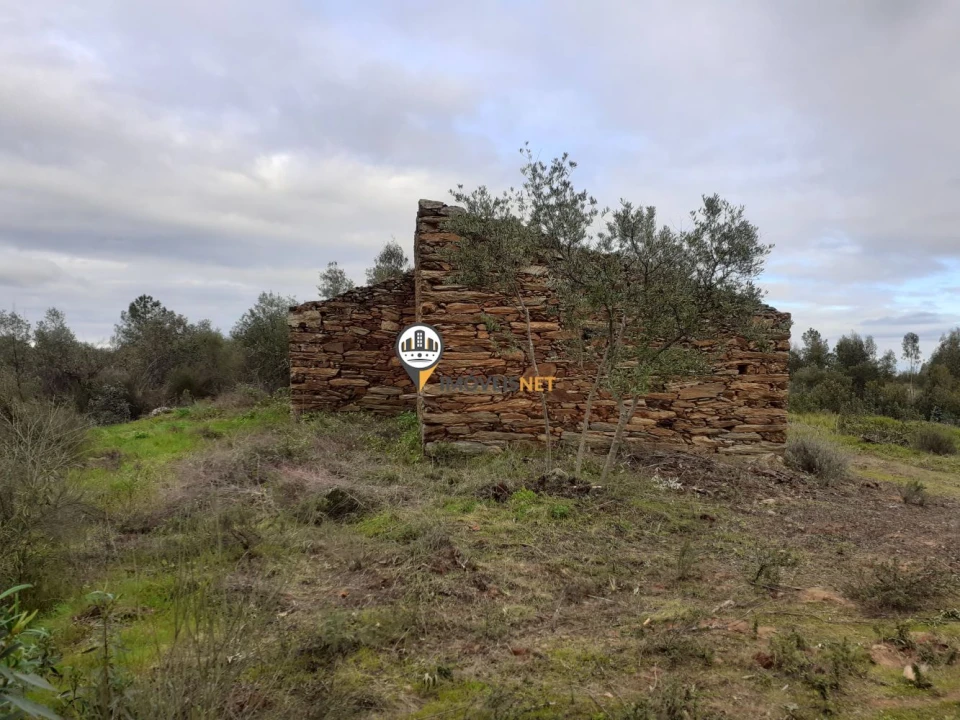 Terreno para Venda em Escalos de Baixo e Mata Foto 3