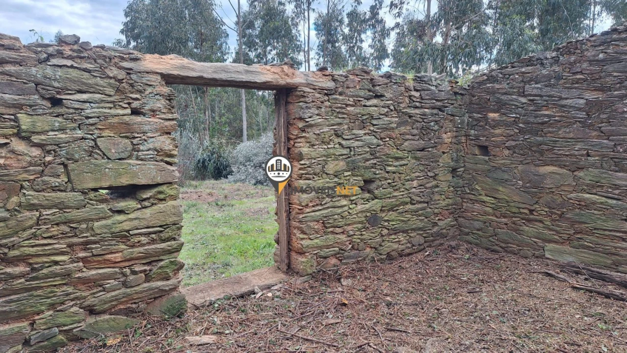 Terreno para Venda em Escalos de Baixo e Mata Foto 24