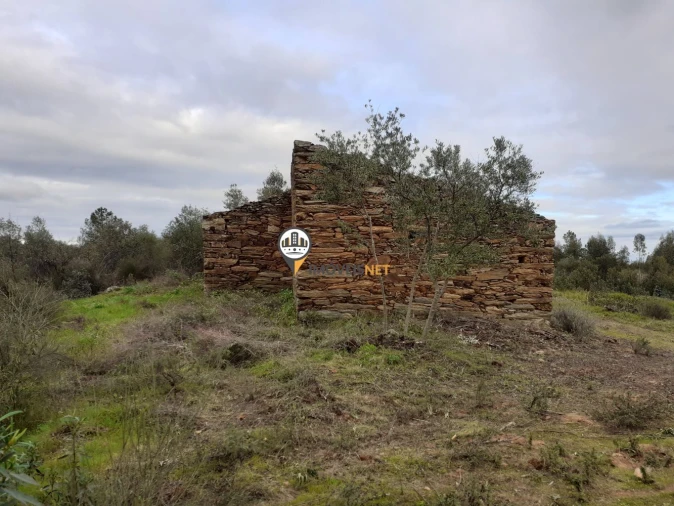 Terreno para Venda em Escalos de Baixo e Mata Foto 3