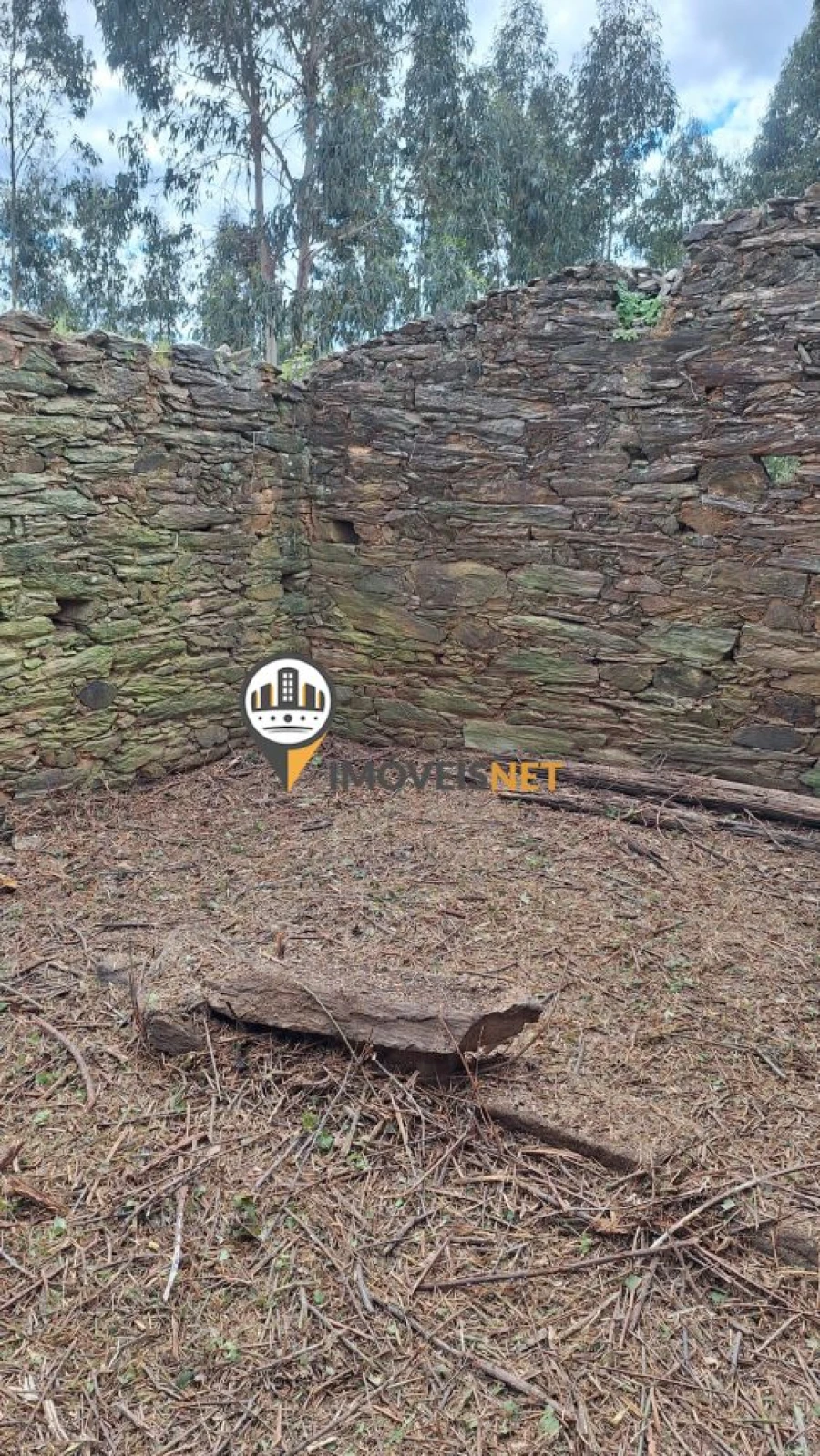 Terreno para Venda em Escalos de Baixo e Mata Foto 30