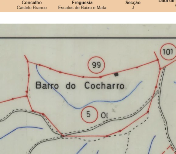 Terreno para Venda em Escalos de Baixo e Mata Foto 16