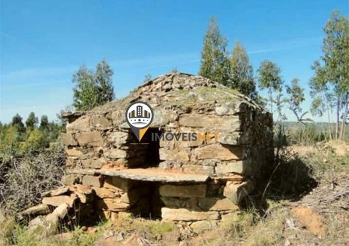 Terreno para Venda em Escalos de Baixo e Mata Foto 10