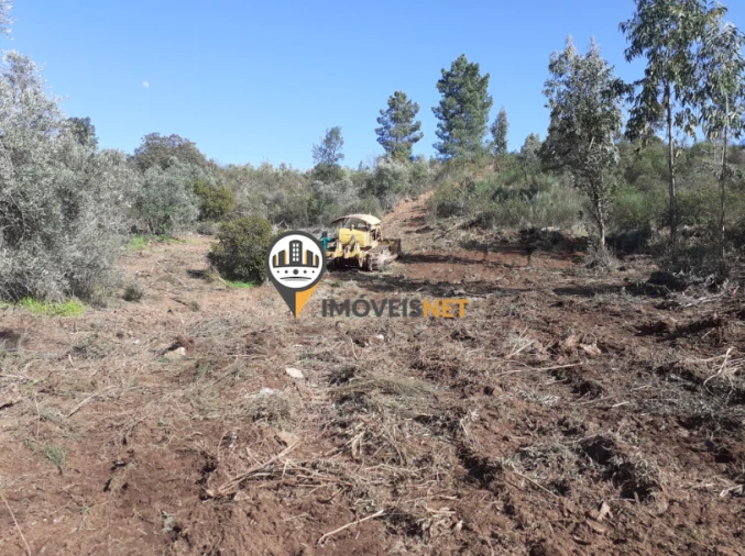 Terreno para Venda em Escalos de Baixo e Mata Foto 8
