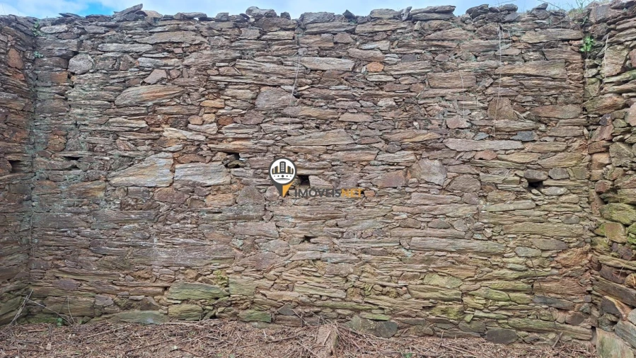 Terreno para Venda em Escalos de Baixo e Mata Foto 28