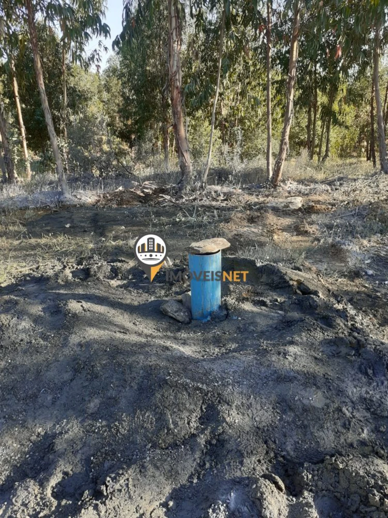 Terreno para Venda em Escalos de Baixo e Mata Foto 14