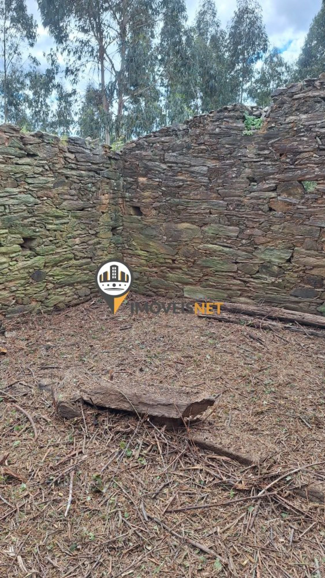 Terreno para Venda em Escalos de Baixo e Mata Foto 30