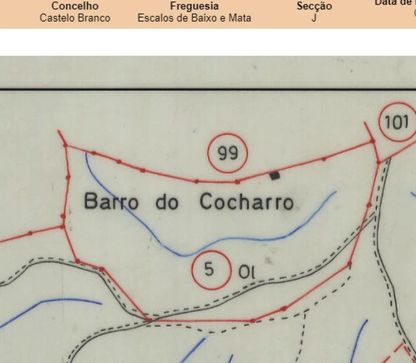 Terreno para Venda em Escalos de Baixo e Mata Foto 16