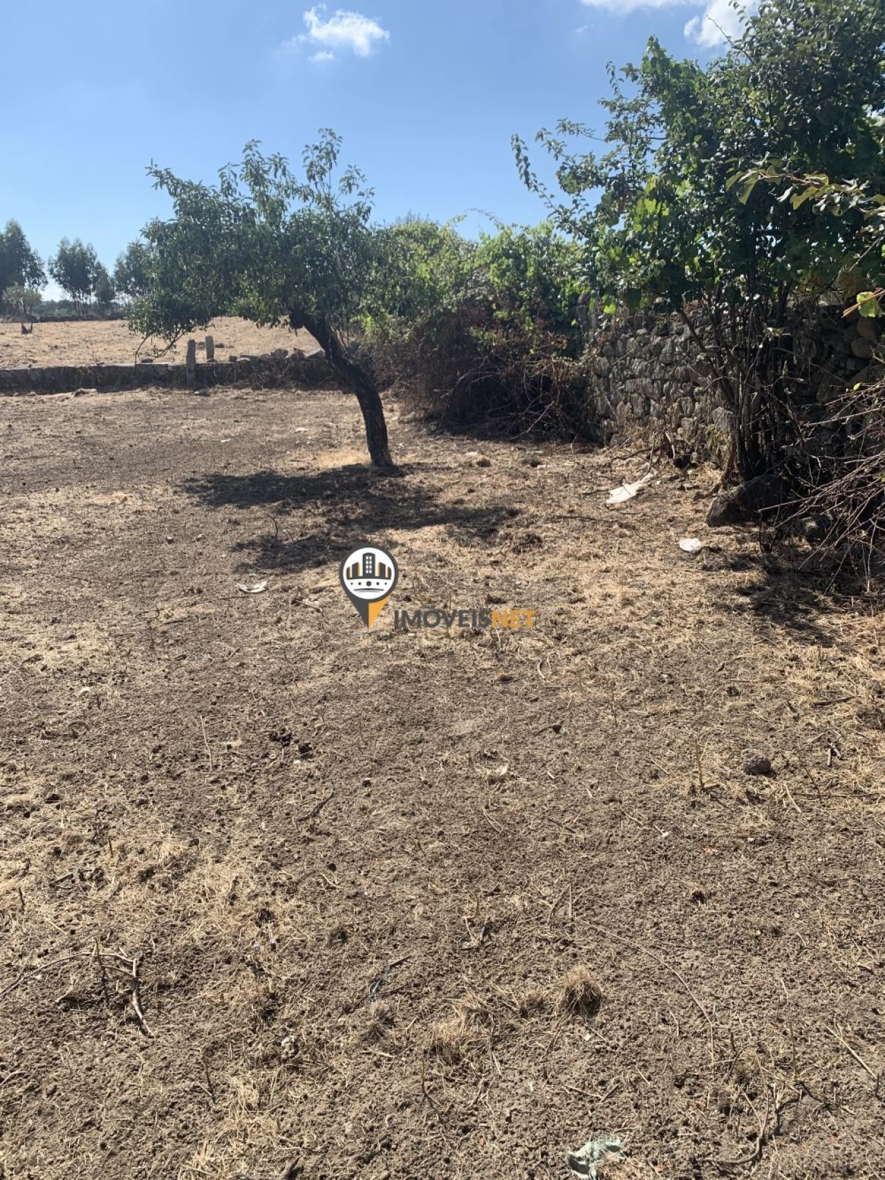 Terreno para Venda em Escalos de Baixo e Mata Foto 9