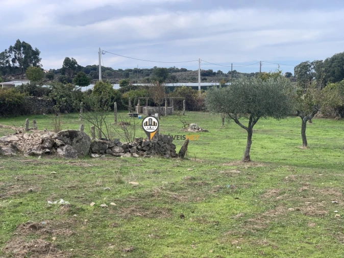 Terreno para Venda em Escalos de Baixo e Mata Foto 17
