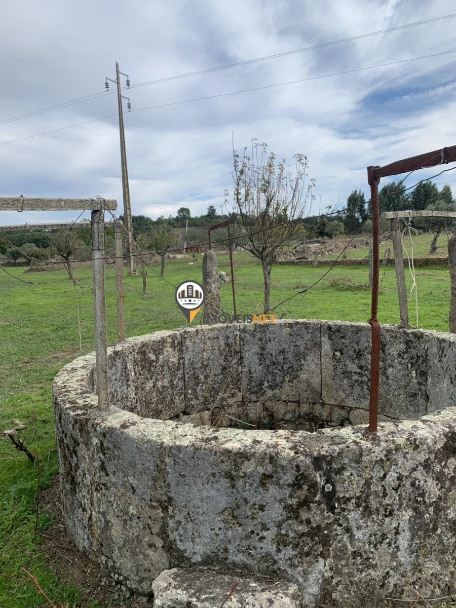 Terreno para Venda em Escalos de Baixo e Mata Foto 32