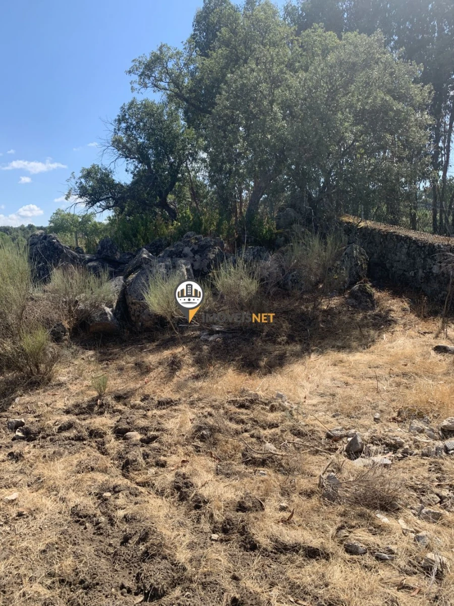 Terreno para Venda em Escalos de Baixo e Mata Foto 14