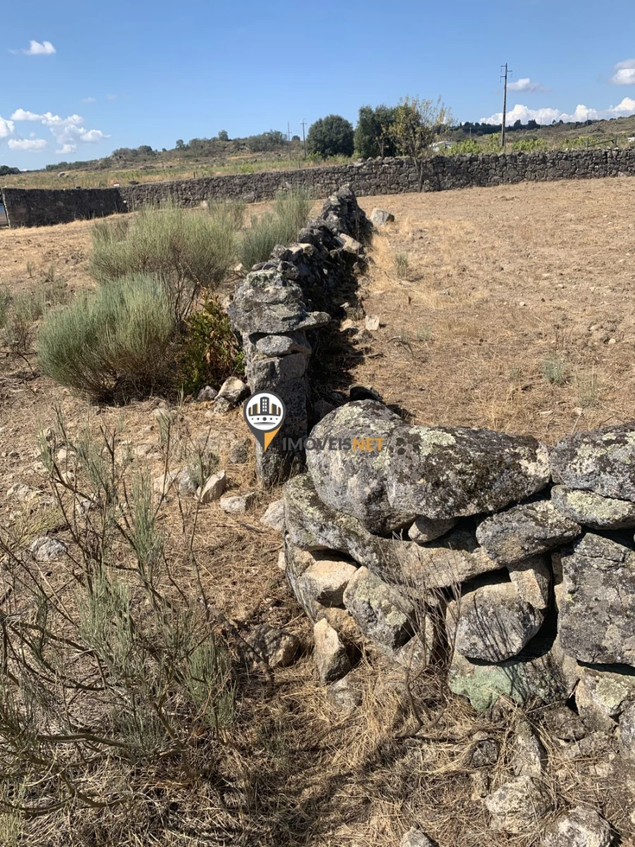 Terreno para Venda em Escalos de Baixo e Mata Foto 11