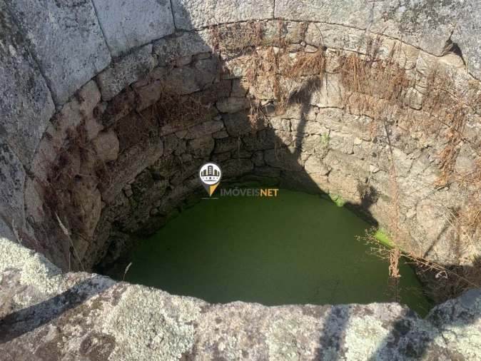 Terreno para Venda em Escalos de Baixo e Mata Foto 7