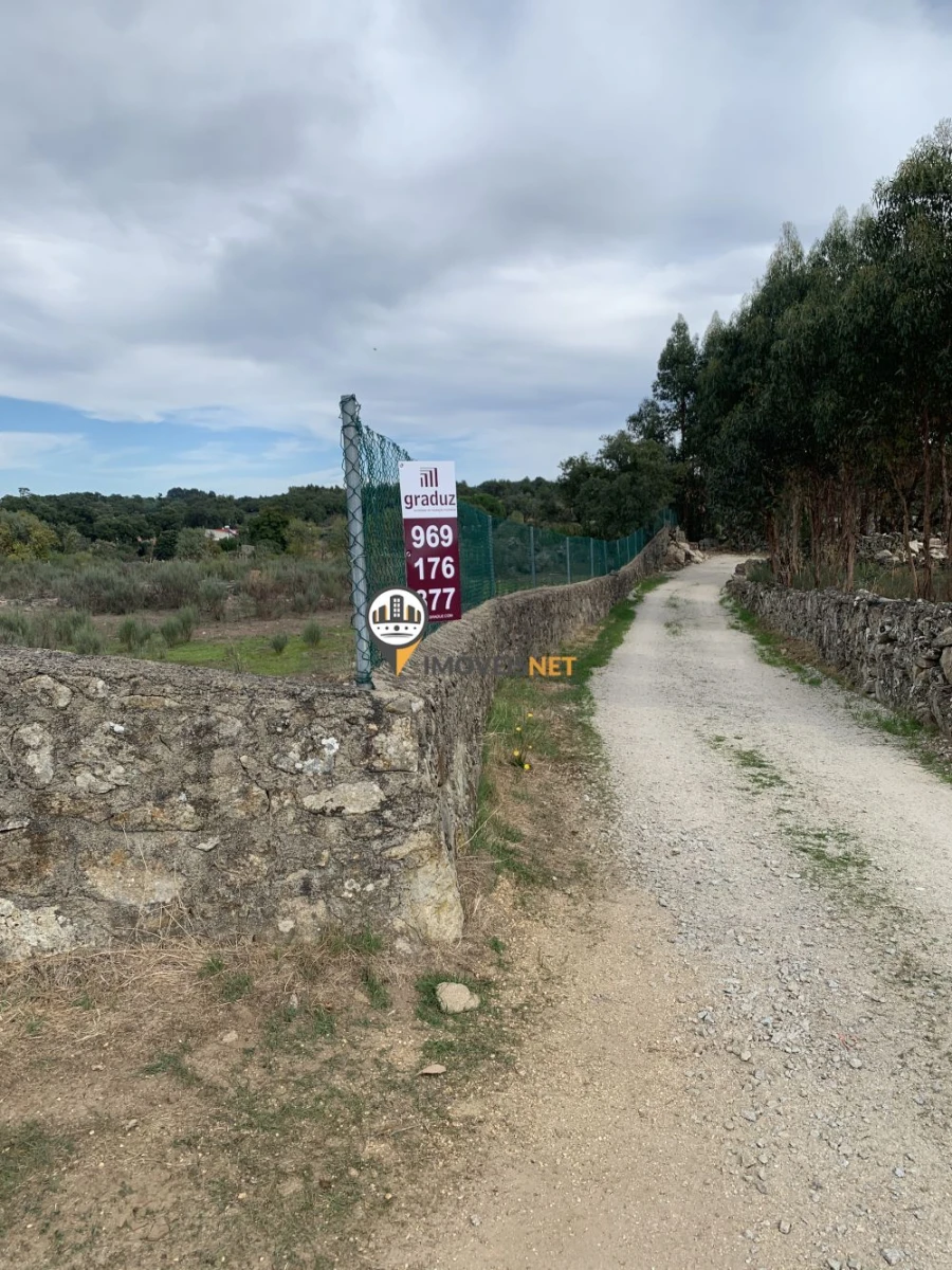Terreno para Venda em Escalos de Baixo e Mata Foto 34