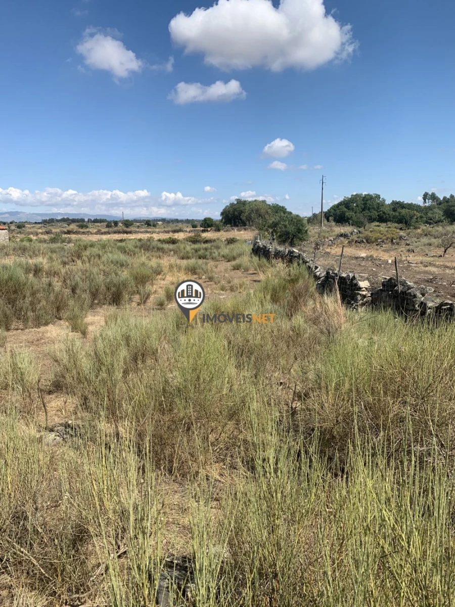 Terreno para Venda em Escalos de Baixo e Mata Foto 15