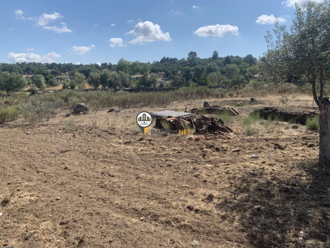 Terreno para Venda em Escalos de Baixo e Mata Foto 10