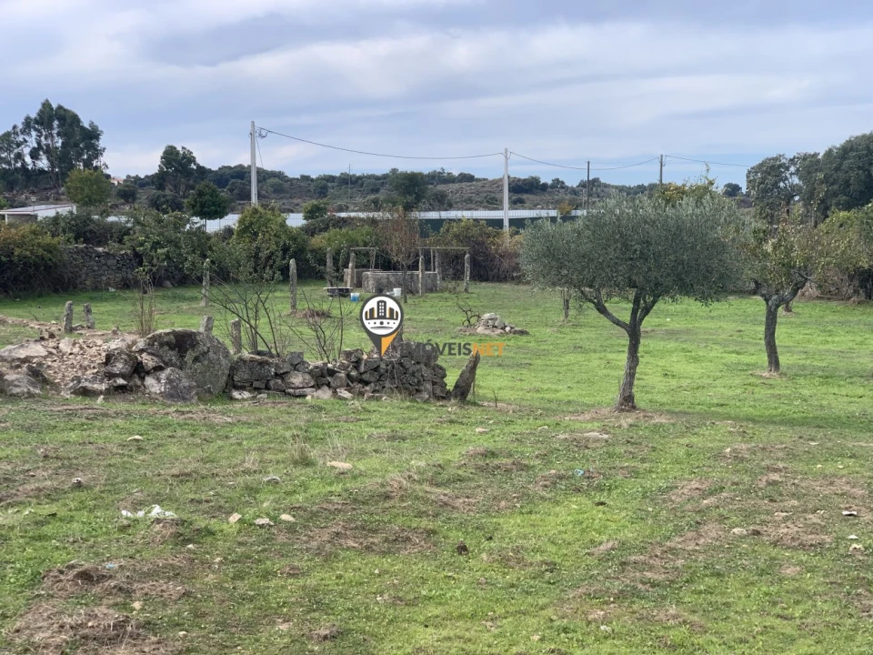 Terreno para Venda em Escalos de Baixo e Mata Foto 17