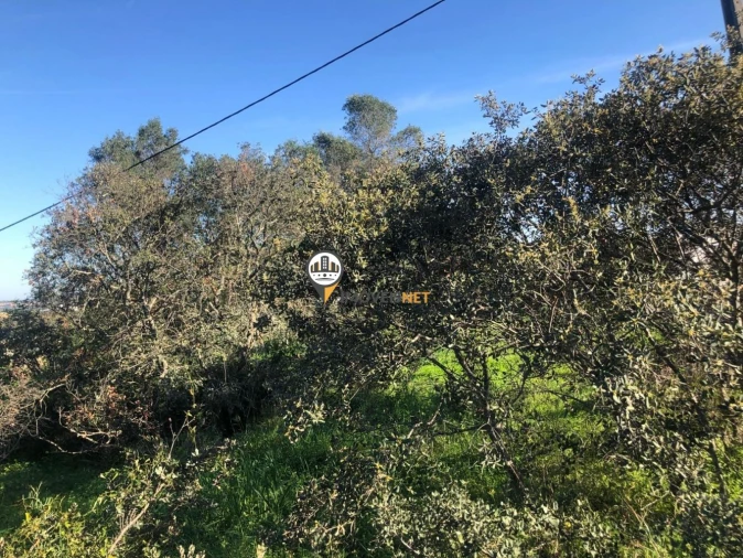 Terreno para Venda em Mexilhoeira Grande Foto 3
