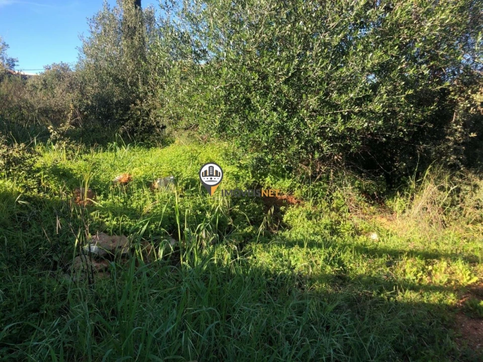 Terreno para Venda em Mexilhoeira Grande Foto 2