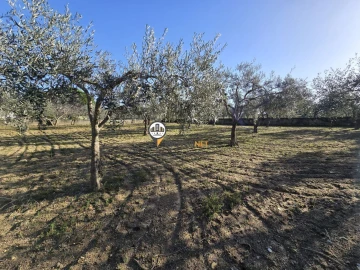 Moradia T2 para Venda em Póvoa de Rio de Moinhos e Cafede