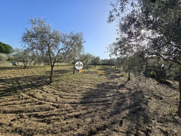 Moradia T2 para Venda em Póvoa de Rio de Moinhos e Cafede