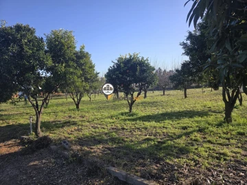 Moradia T2 para Venda em Póvoa de Rio de Moinhos e Cafede
