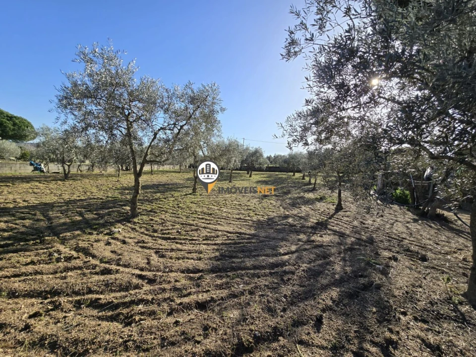 Moradia T2 para Venda em Póvoa de Rio de Moinhos e Cafede Foto 33
