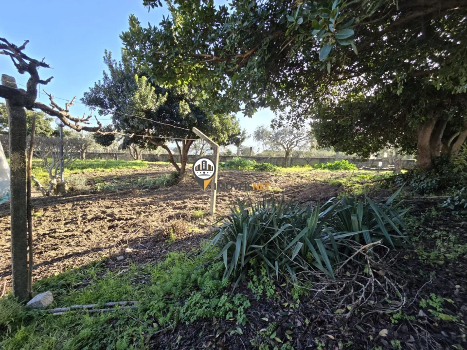 Moradia T2 para Venda em Póvoa de Rio de Moinhos e Cafede Foto 16