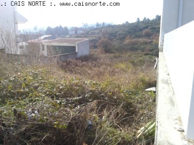 Terreno para Venda em Campo e Sobrado Foto 5