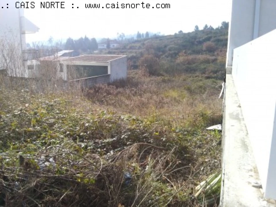 Terreno para Venda em Campo e Sobrado Foto 5