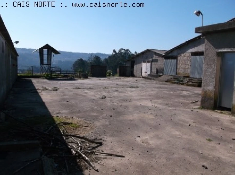 Quinta T5 para Venda em Vandoma Foto 10