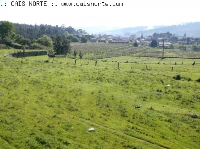 Quinta T5 para Venda em Vandoma Foto 9