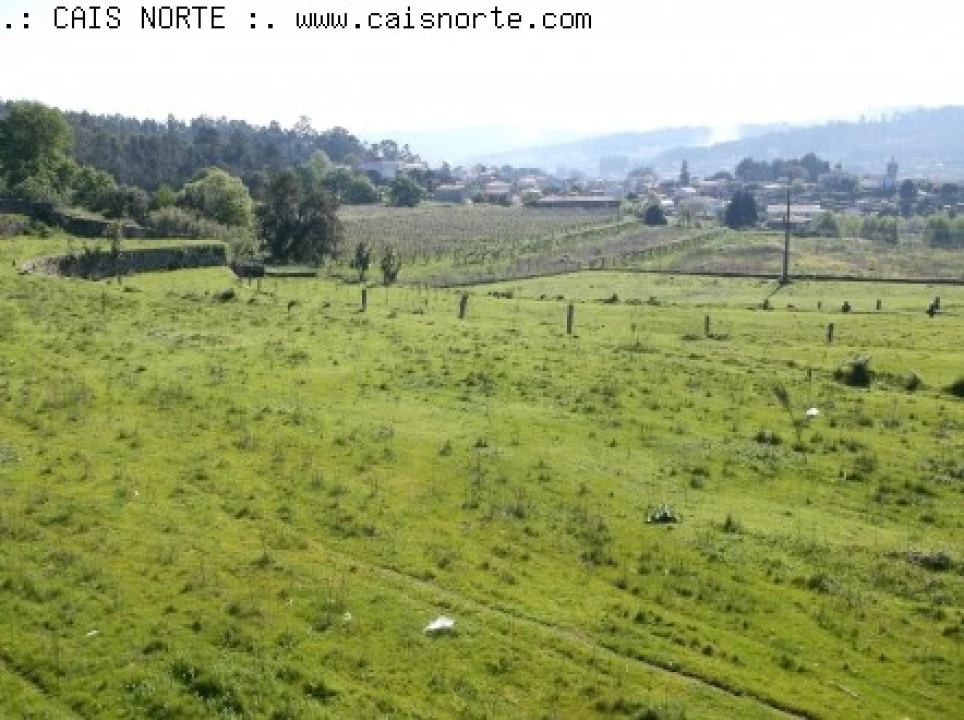 Quinta T5 para Venda em Vandoma Foto 9