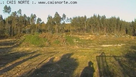 Terreno para Venda em Valongo