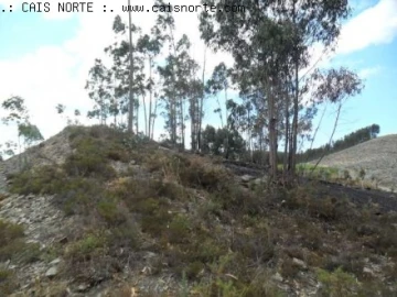 Terreno para Venda em Valongo