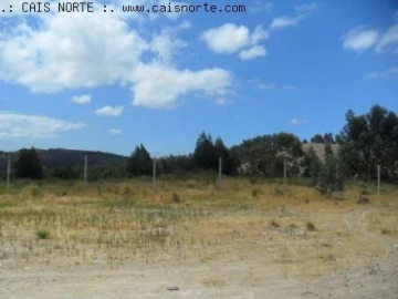 Terreno para Venda em Valongo