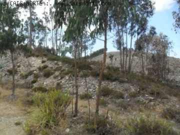 Terreno para Venda em Valongo