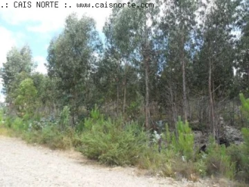 Terreno para Venda em Valongo