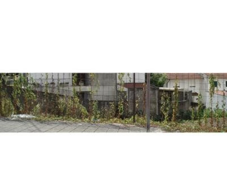 Terreno para Venda em Valongo Foto 2
