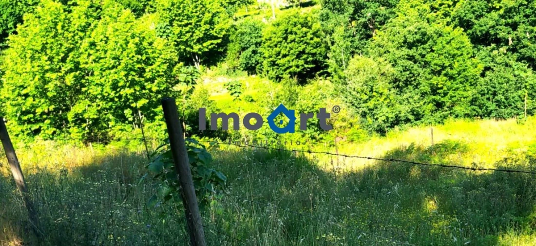 Terreno para Venda em Mondim de Basto Foto 4